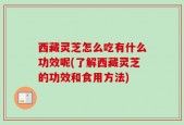 西藏灵芝怎么吃有什么功效呢(了解西藏灵芝的功效和食用方法)