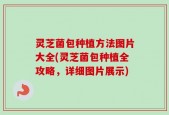 灵芝菌包种植方法图片大全(灵芝菌包种植全攻略，详细图片展示)