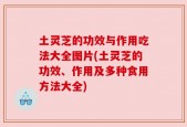 土灵芝的功效与作用吃法大全图片(土灵芝的功效、作用及多种食用方法大全)