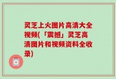 灵芝上火图片高清大全视频(「震撼」灵芝高清图片和视频资料全收录)