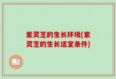 紫灵芝的生长环境(紫灵芝的生长适宜条件)