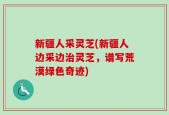新疆人采灵芝(新疆人边采边治灵芝，谱写荒漠绿色奇迹)