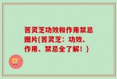 苦灵芝功效和作用禁忌图片(苦灵芝：功效、作用、禁忌全了解！)