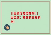 矷山灵芝是怎样的(矷山灵芝：神奇的天然药材)