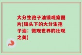 大分生孢子油镜观察图片(镜头下的大分生孢子油：微观世界的壮观之美)