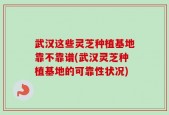 武汉这些灵芝种植基地靠不靠谱(武汉灵芝种植基地的可靠性状况)