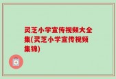 灵芝小学宣传视频大全集(灵芝小学宣传视频集锦)