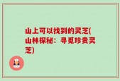 山上可以找到的灵芝(山林探秘：寻觅珍贵灵芝)