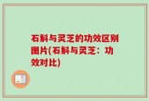 石斛与灵芝的功效区别图片(石斛与灵芝：功效对比)