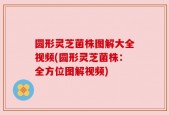圆形灵芝菌株图解大全视频(圆形灵芝菌株：全方位图解视频)