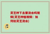灵芝种下去要浇水吗视频(灵芝种植视频：如何给灵芝浇水)