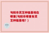 旬阳市灵芝种植基地在哪里(旬阳市哪里有灵芝种植基地？)