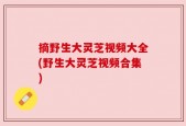 摘野生大灵芝视频大全(野生大灵芝视频合集)