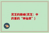 灵芝的巅峰(灵芝：中药里的“神仙草”)