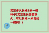 灵芝多久长成1米一棵种子(灵芝生长需要多久，可以长成一米高的一棵树？)