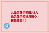 九品灵芝手镯图片(九品灵芝手镯独具匠心，惊艳亮相！)