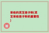 采收的灵芝孢子粉(灵芝采收孢子粉的重要性)
