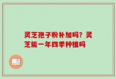 灵芝孢子粉补加吗？灵芝能一年四季种植吗