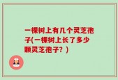 一棵树上有几个灵芝孢子(一棵树上长了多少颗灵芝孢子？)