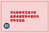 河北邯郸灵芝孢子粉 品质卓越营养丰富的天然养生佳品