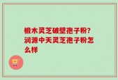 椴木灵芝破壁孢子粉？润源中天灵芝孢子粉怎么样