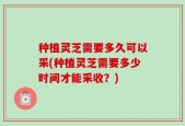 种植灵芝需要多久可以采(种植灵芝需要多少时间才能采收？)