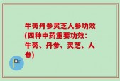牛蒡丹参灵芝人参功效(四种中药重要功效：牛蒡、丹参、灵芝、人参)