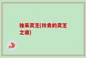 独采灵芝(珍贵的灵芝之道)