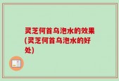 灵芝何首乌泡水的效果(灵芝何首乌泡水的好处)