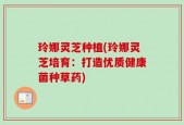 玲娜灵芝种植(玲娜灵芝培育：打造优质健康菌种草药)