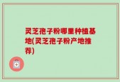 灵芝孢子粉哪里种植基地(灵芝孢子粉产地推荐)