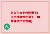 怎么在山上种野灵芝(山上种植野生灵芝，助力健康产业发展)