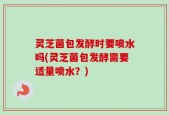 灵芝菌包发酵时要喷水吗(灵芝菌包发酵需要适量喷水？)