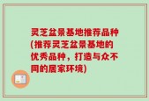 灵芝盆景基地推荐品种(推荐灵芝盆景基地的优秀品种，打造与众不同的居家环境)