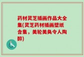 药材灵芝插画作品大全集(灵芝药材插画壁纸合集，美轮美奂令人陶醉)