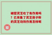 破壁灵芝吃了有作用吗？已采集了灵芝孢子粉的灵芝功效作用怎样呢