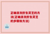 正确清洗野生灵芝的方法(正确清洗野生灵芝的步骤和方法)