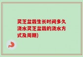 灵芝盆栽生长时间多久浇水灵芝盆栽的浇水方式及周期)