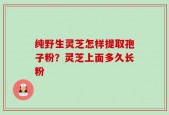 纯野生灵芝怎样提取孢子粉？灵芝上面多久长粉