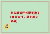 怎么季节还长灵芝孢子(季节未过，灵芝孢子来袭)