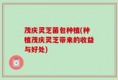 茂庆灵芝菌包种植(种植茂庆灵芝带来的收益与好处)