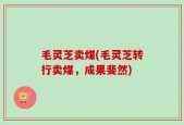 毛灵芝卖煤(毛灵芝转行卖煤，成果斐然)