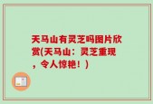 天马山有灵芝吗图片欣赏(天马山：灵芝重现，令人惊艳！)