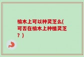 榆木上可以种灵芝么(可否在榆木上种植灵芝？)