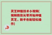 灵芝种植技术小视频(视频教你从零开始种植灵芝，新手也能轻松操作)