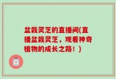 盆栽灵芝的直播间(直播盆栽灵芝，观看神奇植物的成长之路！)