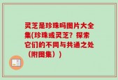 灵芝是珍珠吗图片大全集(珍珠或灵芝？探索它们的不同与共通之处（附图集）)