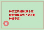 种灵芝的姐妹(两个双胞胎姐妹成为了灵芝的种植专家)
