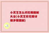小灵芝怎么切花瓣图解大全(小灵芝剪花瓣详细步骤图解)