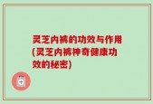 灵芝内裤的功效与作用(灵芝内裤神奇健康功效的秘密)